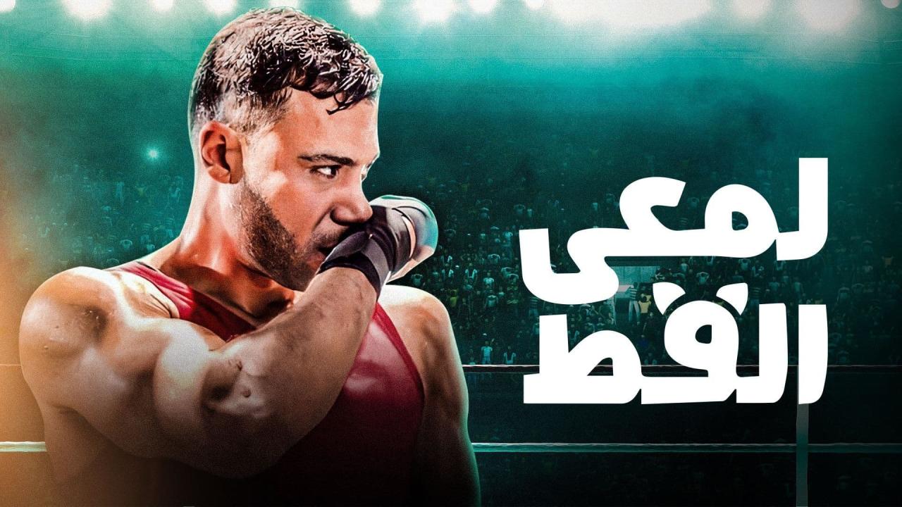 لمعي القط