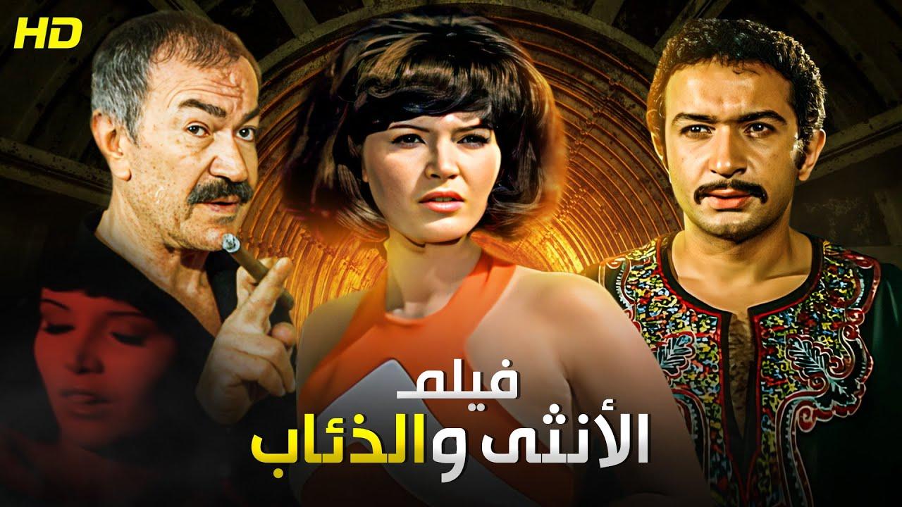 مشاهدة فيلم الأنثى والذئاب كامل اون لاين HD