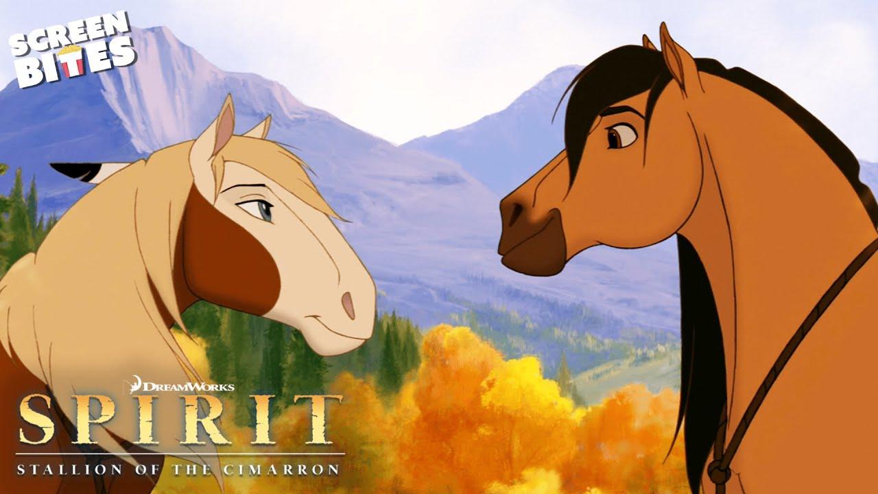 فيلم Spirit: Stallion of the Cimarron 2002 مترجم كامل اون لاين HD