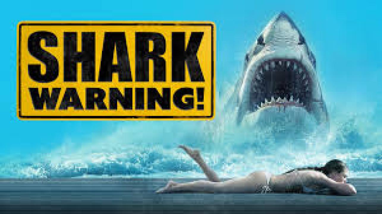 فيلم Shark Warning 2024 مترجم كامل اون لاين HD